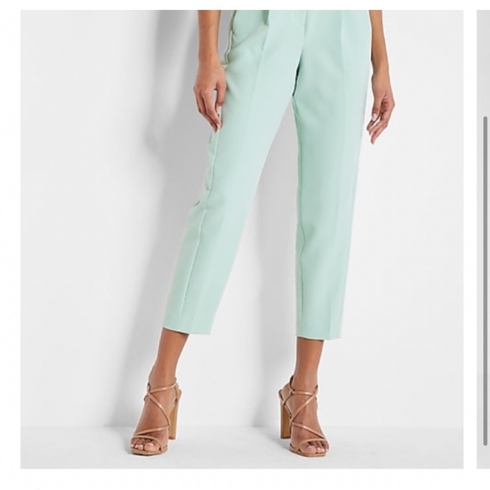 EXPRESS Pastel Green/ Mint Blue Columnist Pleated Ankle Pants Size 10